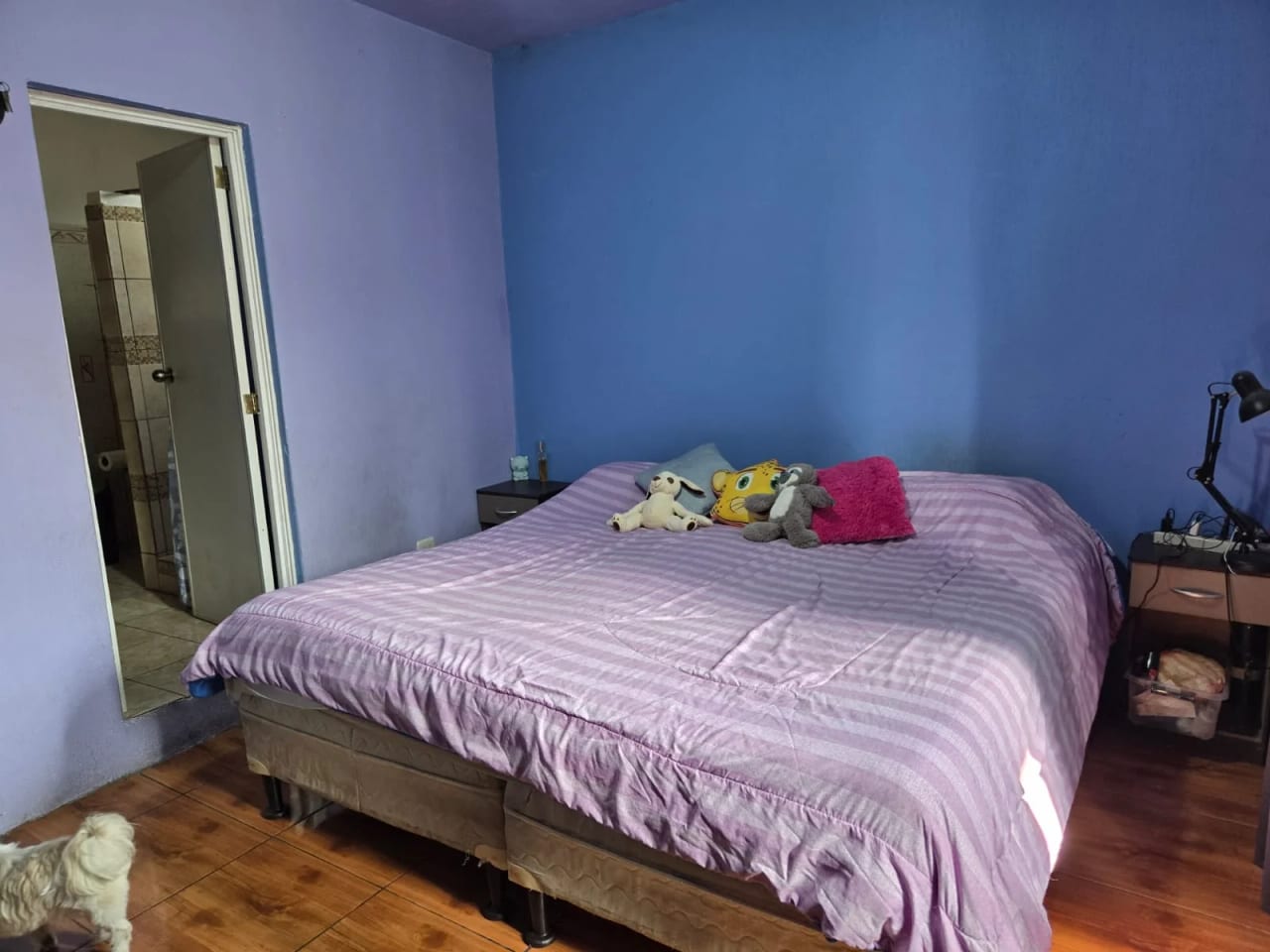 Vendo Casa 2 Niveles Zona 1 Sobre la 1RA Calle y 18 Av. C, Zona 1 REF.6921 — Casa en Venta en Zona 1, Guatemala, Ciudad — foto 9 de 14