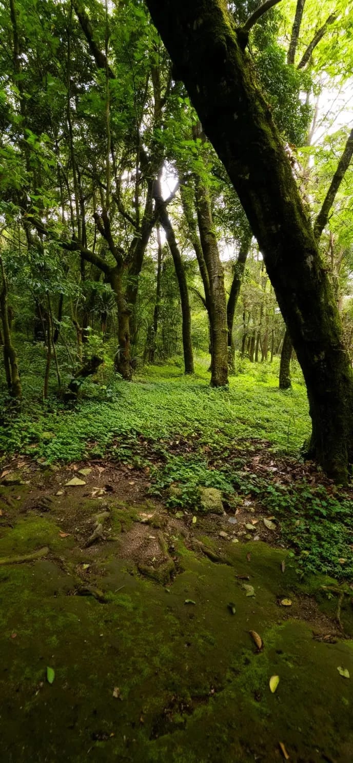 Terreno Comercial en VENTA Km.24.5 Carretera Interamericana — Terreno en Venta en San Lucas Sacatepéquez, Sacatepéquez — foto 7 de 11