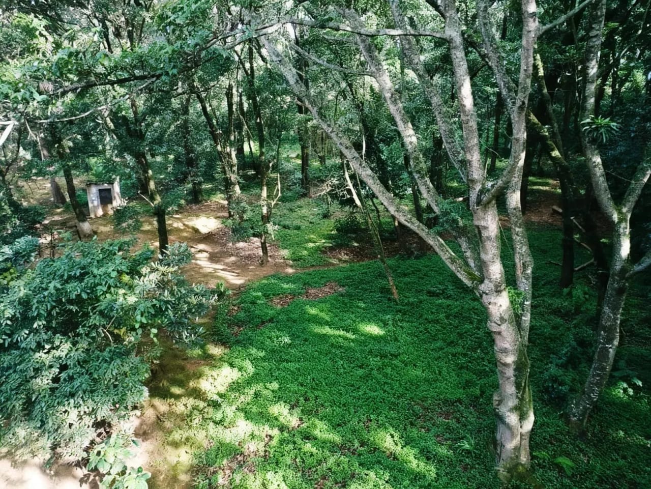 Terreno Comercial en VENTA Km.24.5 Carretera Interamericana — Terreno en Venta en San Lucas Sacatepéquez, Sacatepéquez — foto 8 de 11