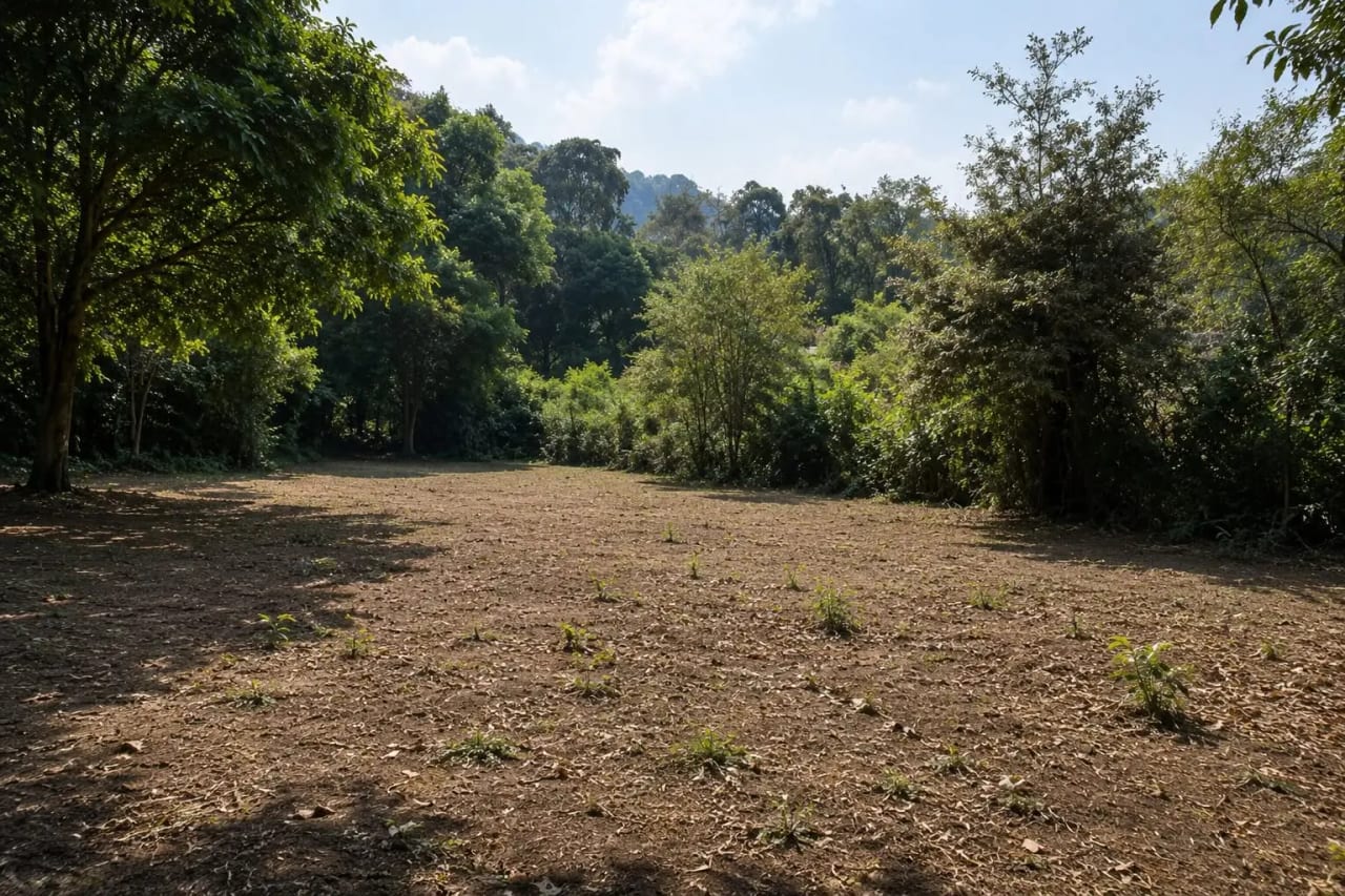 Terreno en Venta en Milpas Altas, KM 32, Aldea la Libertad — Terreno en Venta en Santa Lucía Milpas Altas, Sacatepéquez — foto 3 de 3