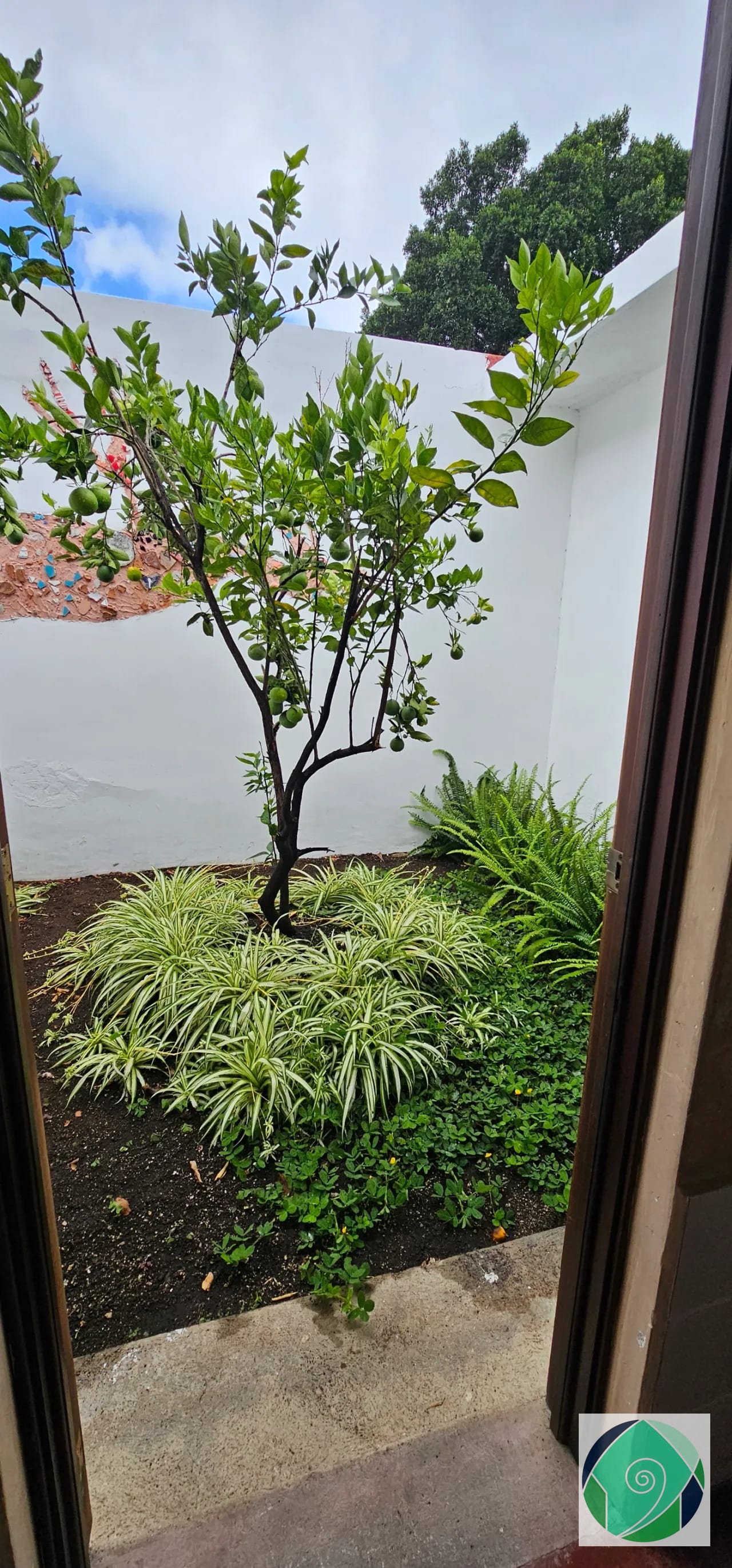 Alquiler casa con espectacular jardín en San Pedro el Alto, Antigua — Casa en Alquiler en San Pedro El Alto, Antigua, Sacatepéquez — foto 13 de 17