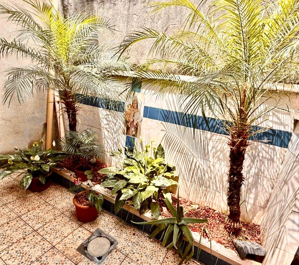 Zona 6 • Casa en Venta • Colonia San Rafael - 3