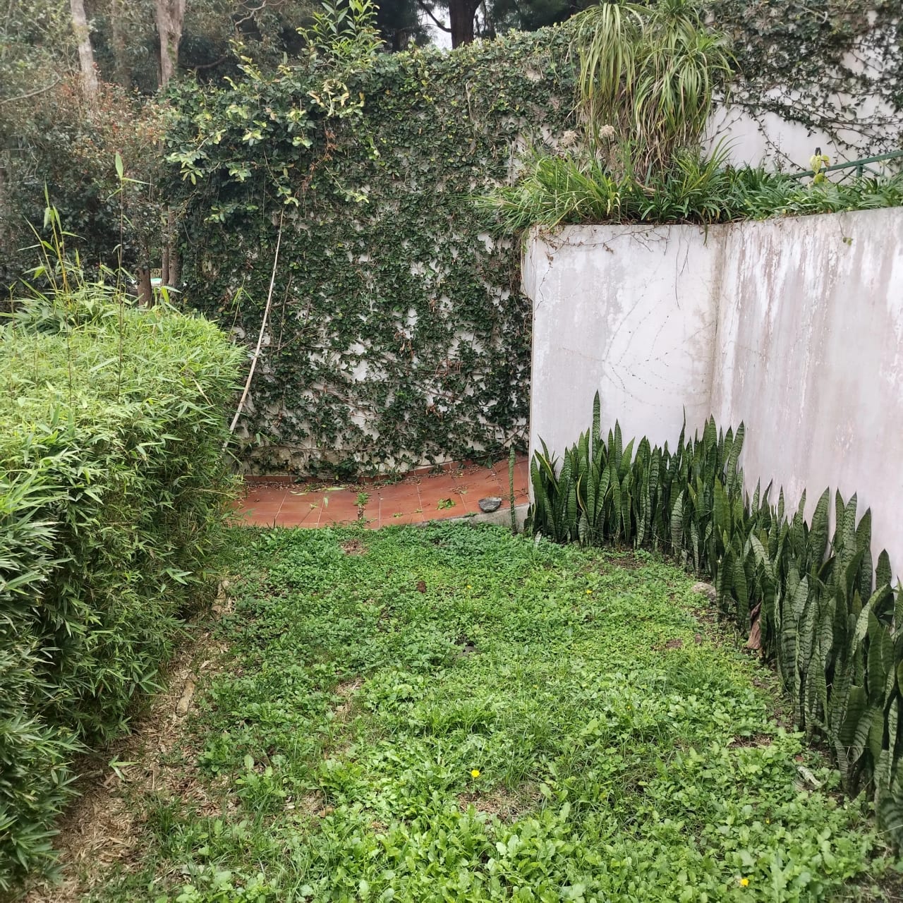 Casa grande en venta en Carretera a El Salvador — Casa en Venta en Monte bello, Carretera a El Salvador, Guatemala, Ciudad — foto 14 de 15