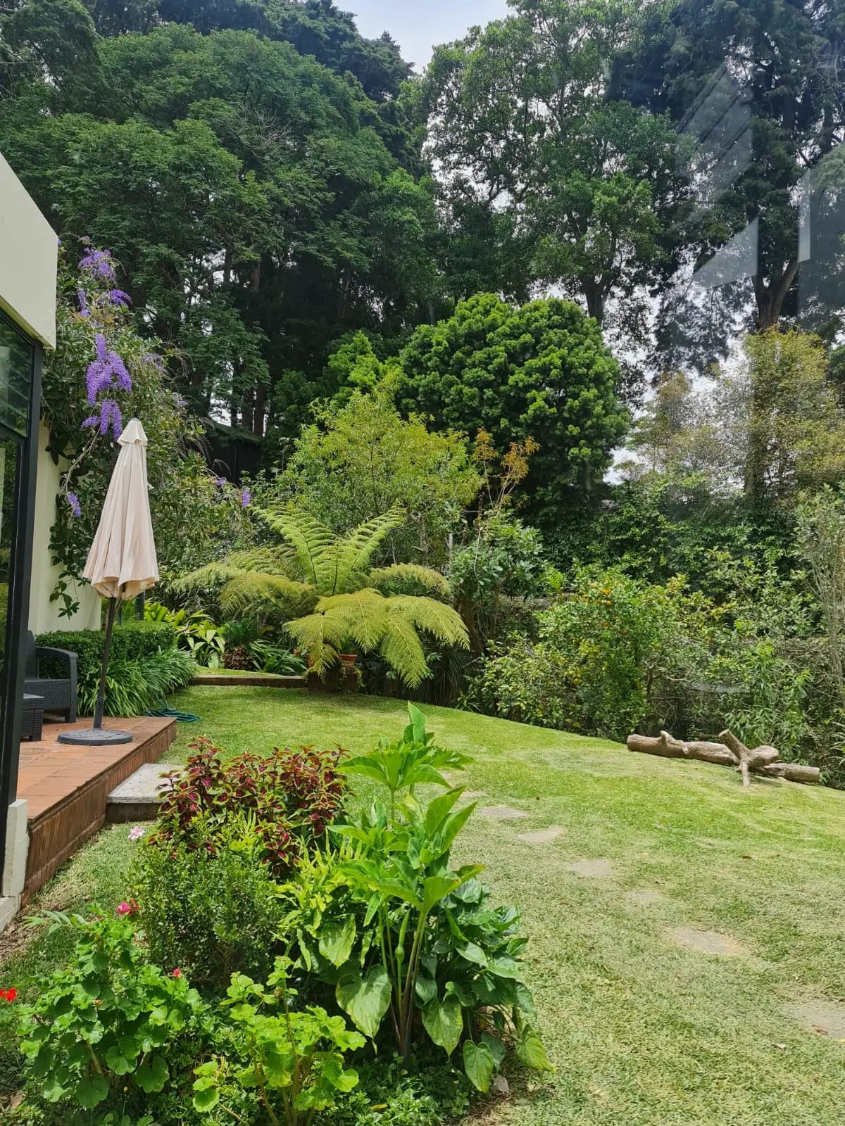 Venta Casa GRANDE El Prado zona 10 5 habitaciones — Casa en Venta en El Prado, Zona 10, Guatemala, Ciudad — foto 6 de 11