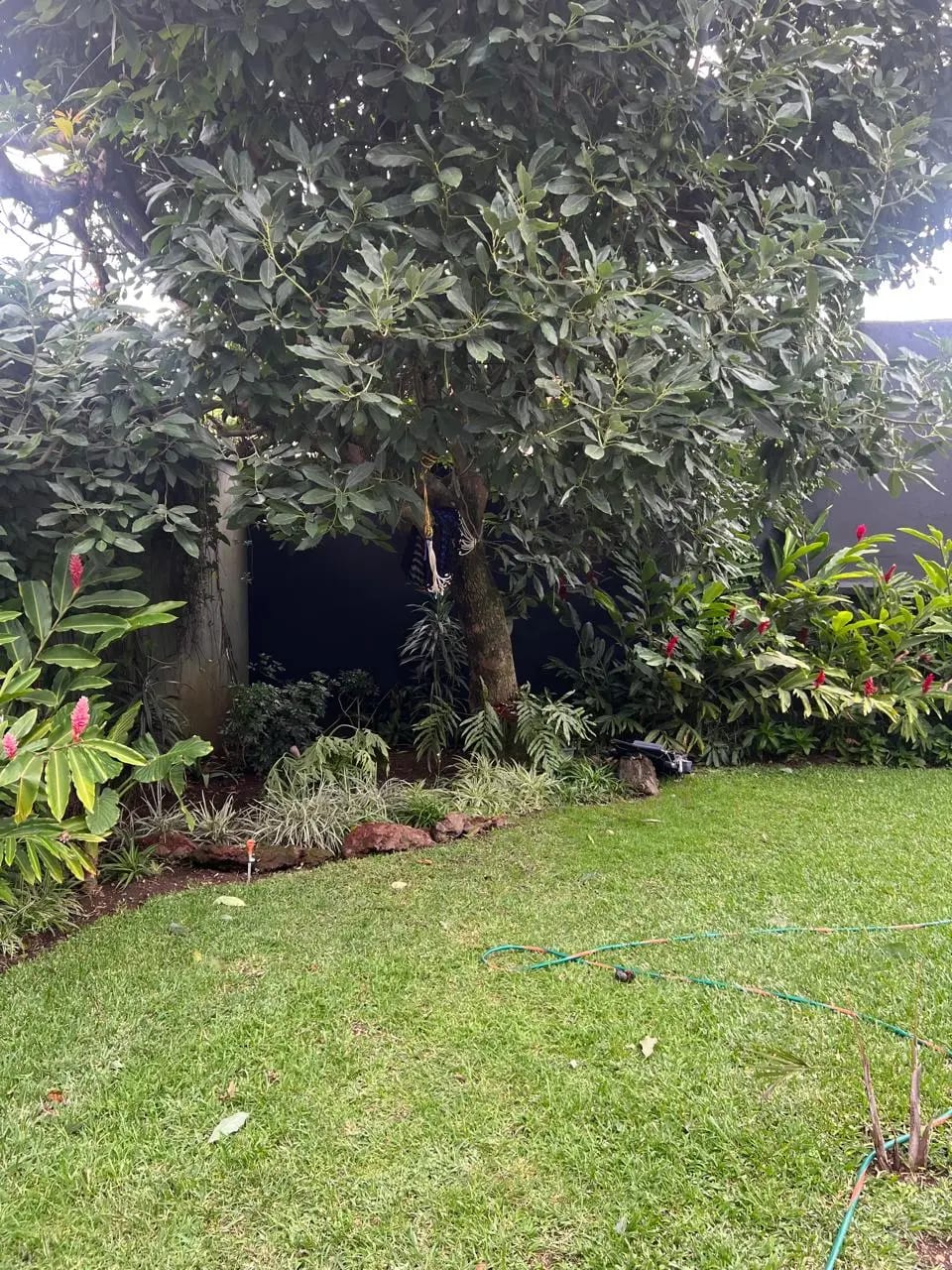 Casa de lujo en zona 14 — Casa en Alquiler en Zona 14, Guatemala, Ciudad — foto 3 de 15