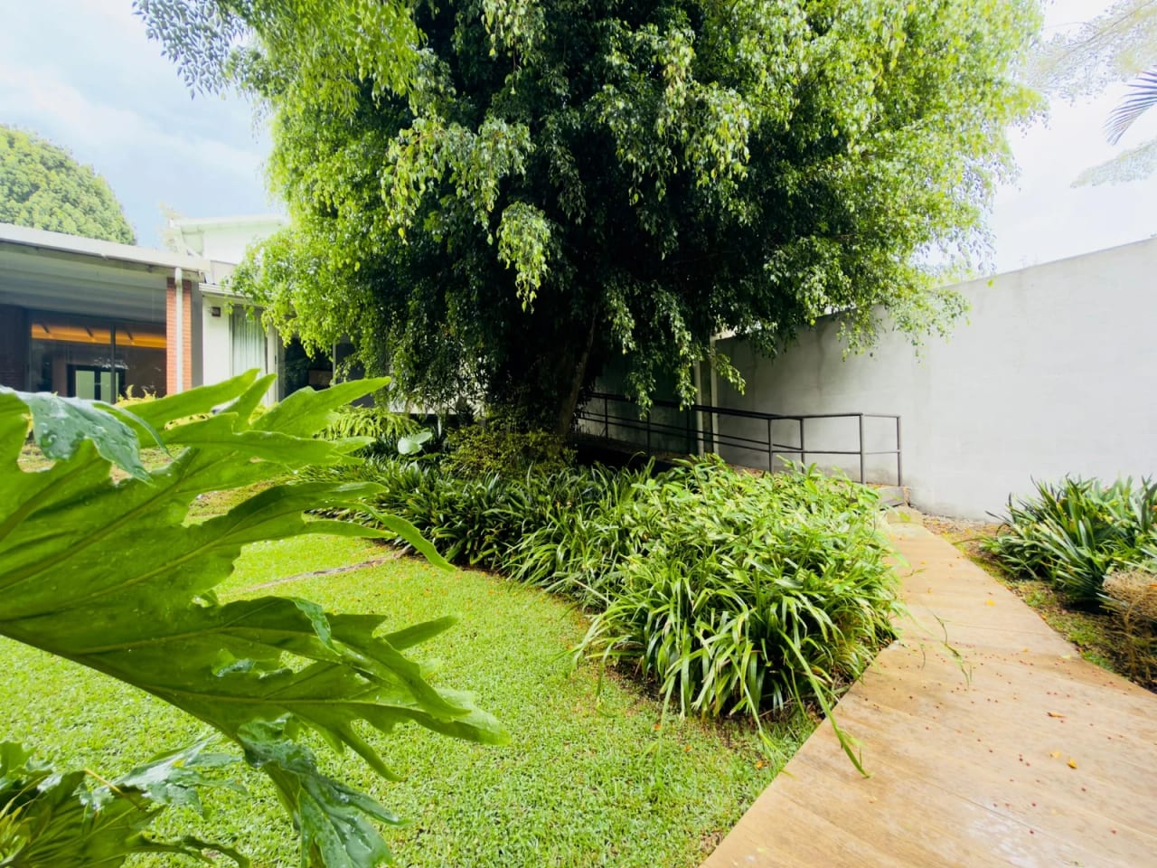 ALQUILO AMPLIA CASA EN ZONA 15 VH1 — Casa en Alquiler en Vista Hermosa I, Zona 15, Guatemala, Ciudad — foto 1 de 1