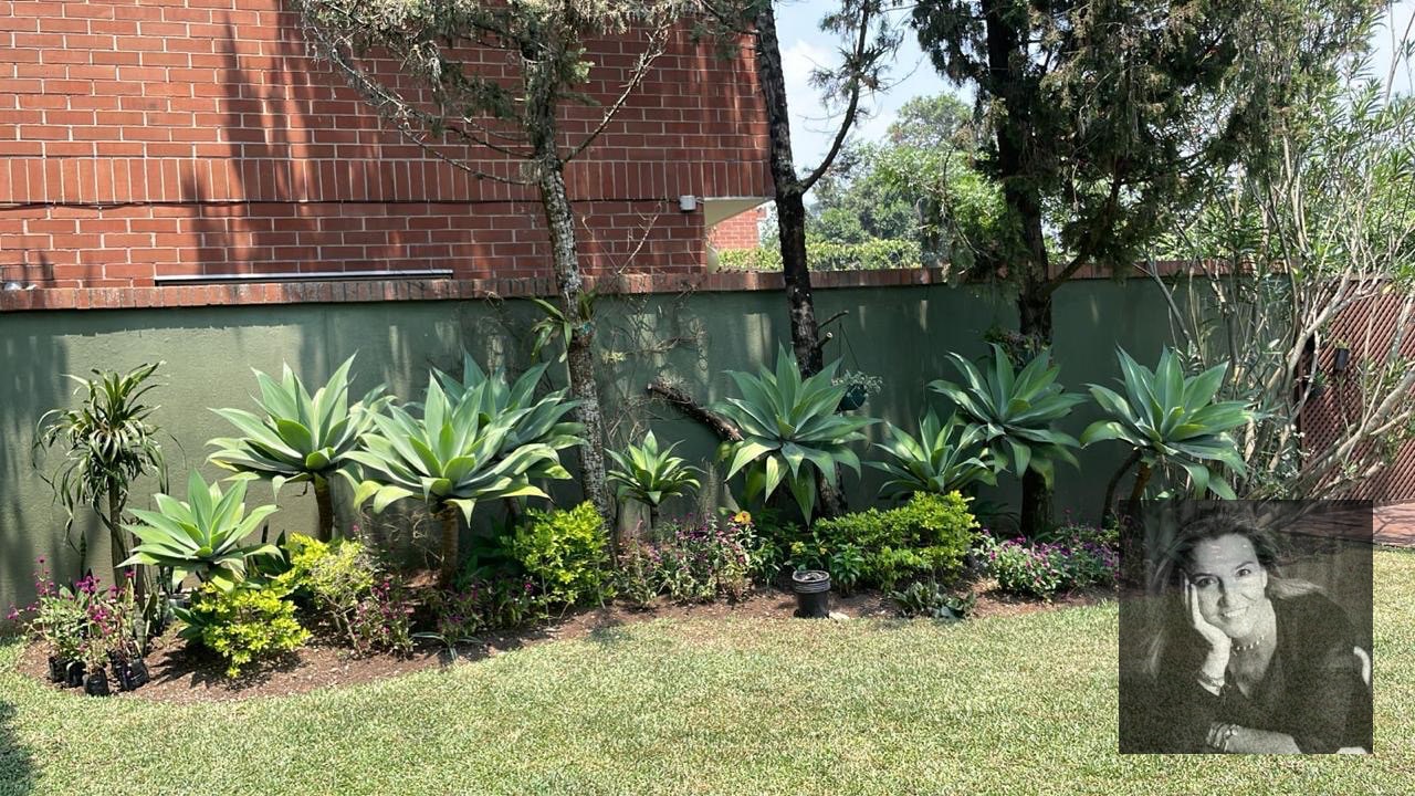 Casa en Condominio en Renta zona 15 - 12