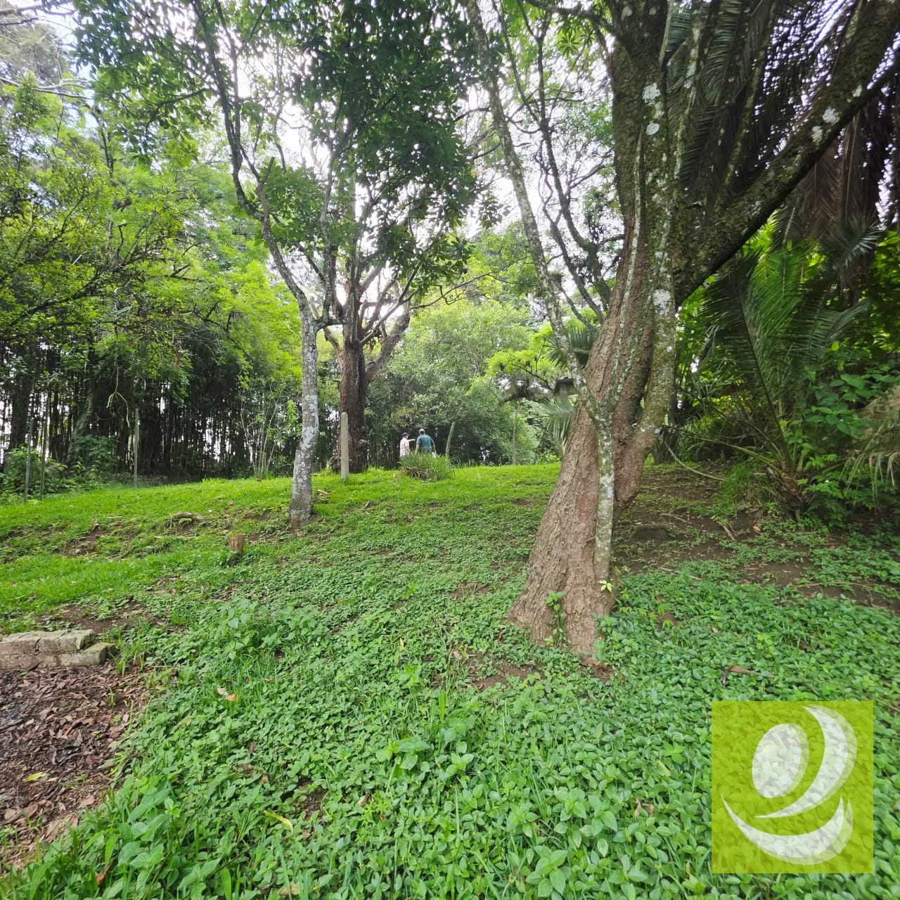 Venta Casa Invierte en una joya campestre con potencial comercial — Casa en Venta en Santa Elena Barillas, Guatemala, Ciudad — foto 2 de 7