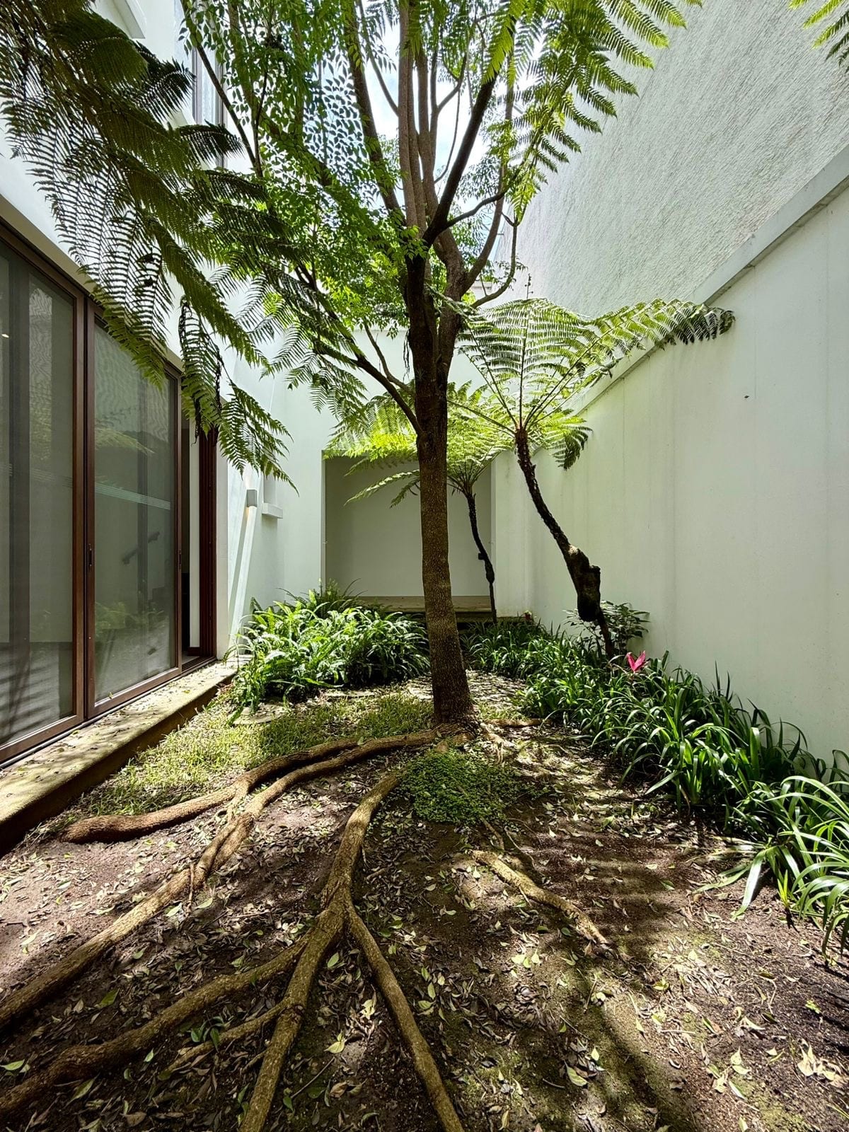 Casa en venta | 3 habitaciones | jardín interior | pérgola | Ramblas de Cayalá zona 16 — Casa en Venta en Zona 16, Guatemala, Ciudad — foto 11 de 16