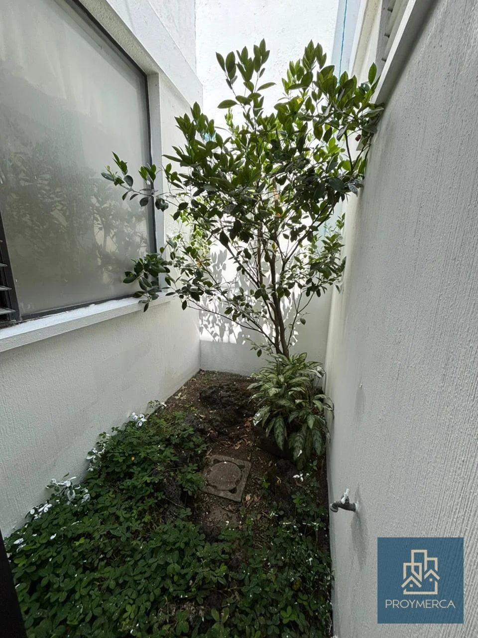 Casa en alquiler, Condominio Santa Amelia, Zona 16 - 6