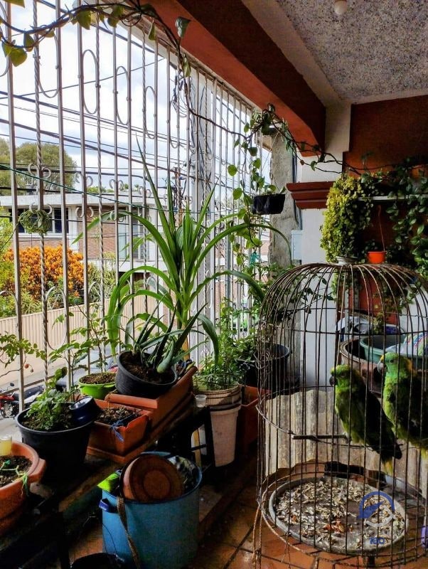 Casa en Venta en Barrio Gerona, zona 1, Ciudad de Guatemala - 13