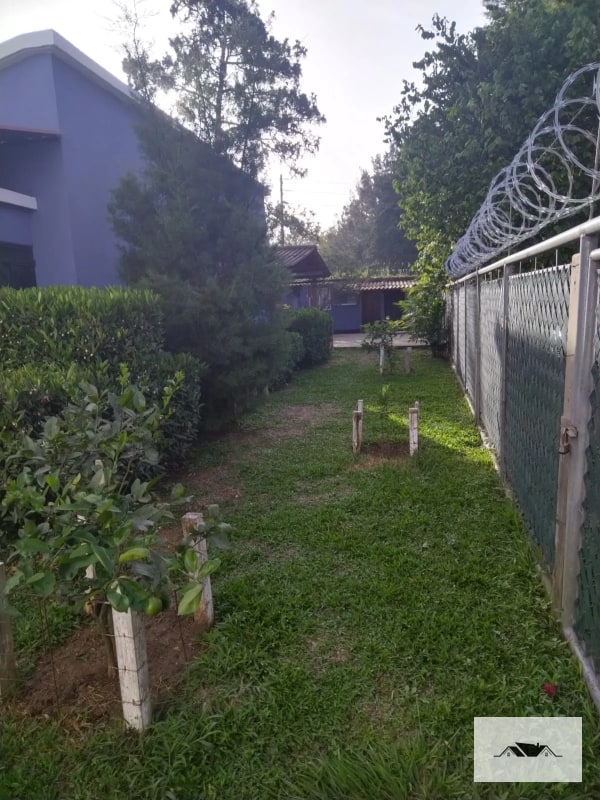 En Renta Propiedad Zona 16 sobre Calle Principal Fuera de Garita uso Comercial o Vivienda — Casa en Alquiler en Zona 16, Guatemala, Ciudad — foto 6 de 6