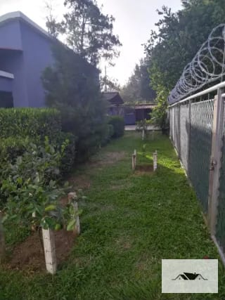 En Renta Propiedad Zona 16 sobre Calle Principal Fuera de Garita uso Comercial o Vivienda — Casa en Alquiler en Zona 16, Guatemala, Ciudad — miniatura 6 de 6
