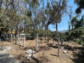 Terreno Antigua Guatemala Walking Distance al Casco Ideal Desarrollo de Plaza Comercial , Cerca de las Ruinas de la Recolección y Cerca del Casco de Antigua Guatemala 2217v2 — Terreno en Venta en Antigua, Sacatepéquez — miniatura 2 de 3