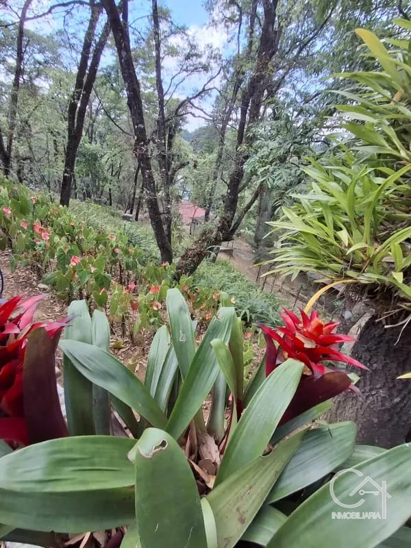 Casa en Venta - Tronco 2 EL ENCINAL Zona 7 Mixco — Casa en Venta en El Encinal, Zona 7 Mixco, Guatemala, Ciudad — foto 3 de 15