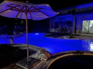 Casa en Renta Rio Dulce — Casa en Alquiler en Río dulce, Izabal — miniatura 10 de 15
