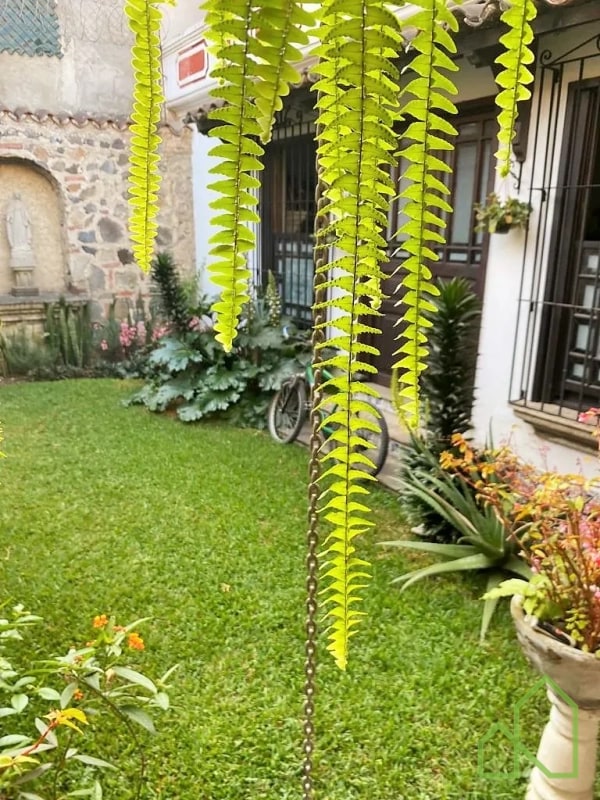 Propiedad en Venta en San Pedro El Panorama, Antigua Guatemala - 8
