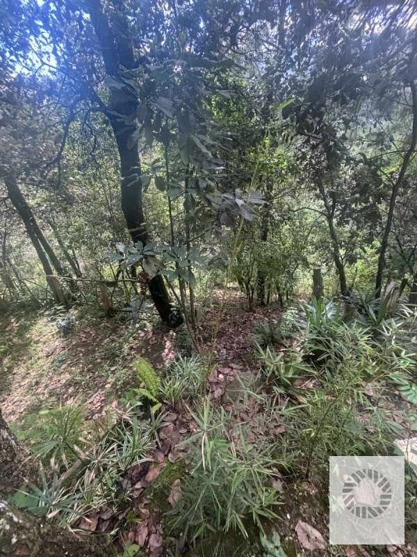 VENDO CABAÑA BOSQUES DE TECPAN - 13