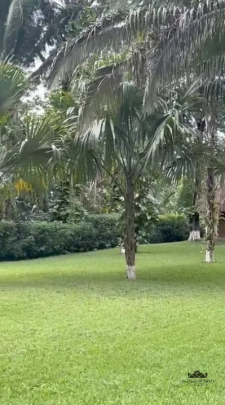 CASA EN VENTA RÍO DULCE - 3