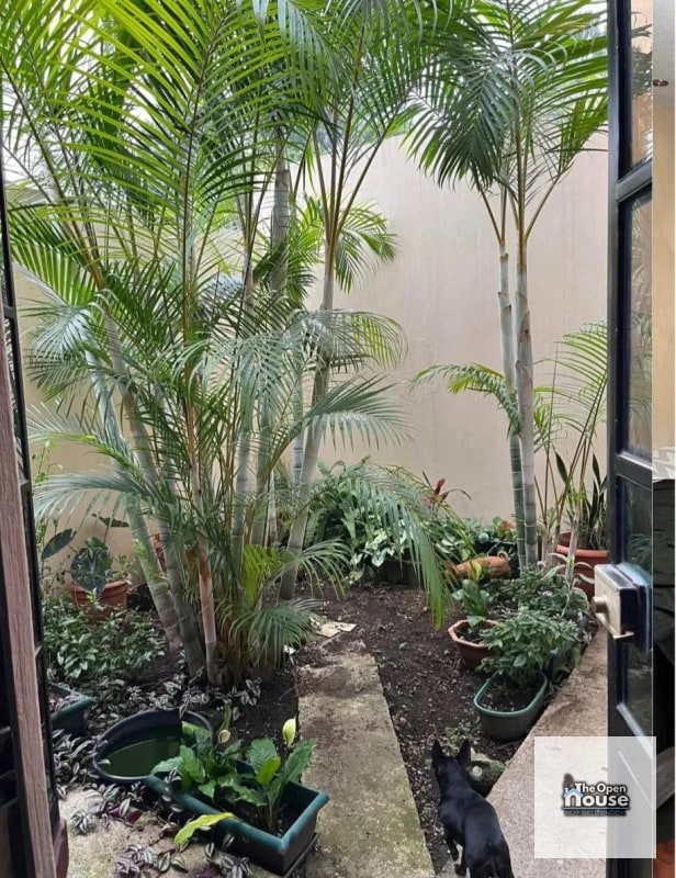 Residenciales Valle de Minerva, zona 11 Mixco, Guatemala! - 8