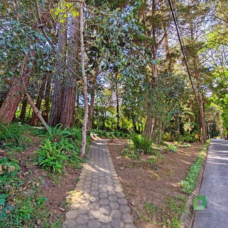 Casa en venta San Lucas - 14