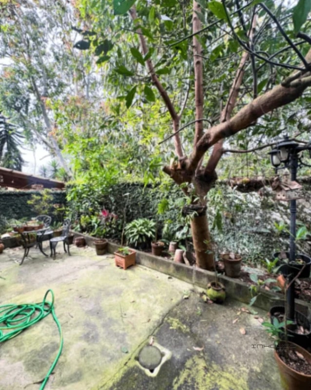 CASA EN VENTA EN ZONA 16 FRENTE AL COLEGIO SUIZO AMERICANO - 2