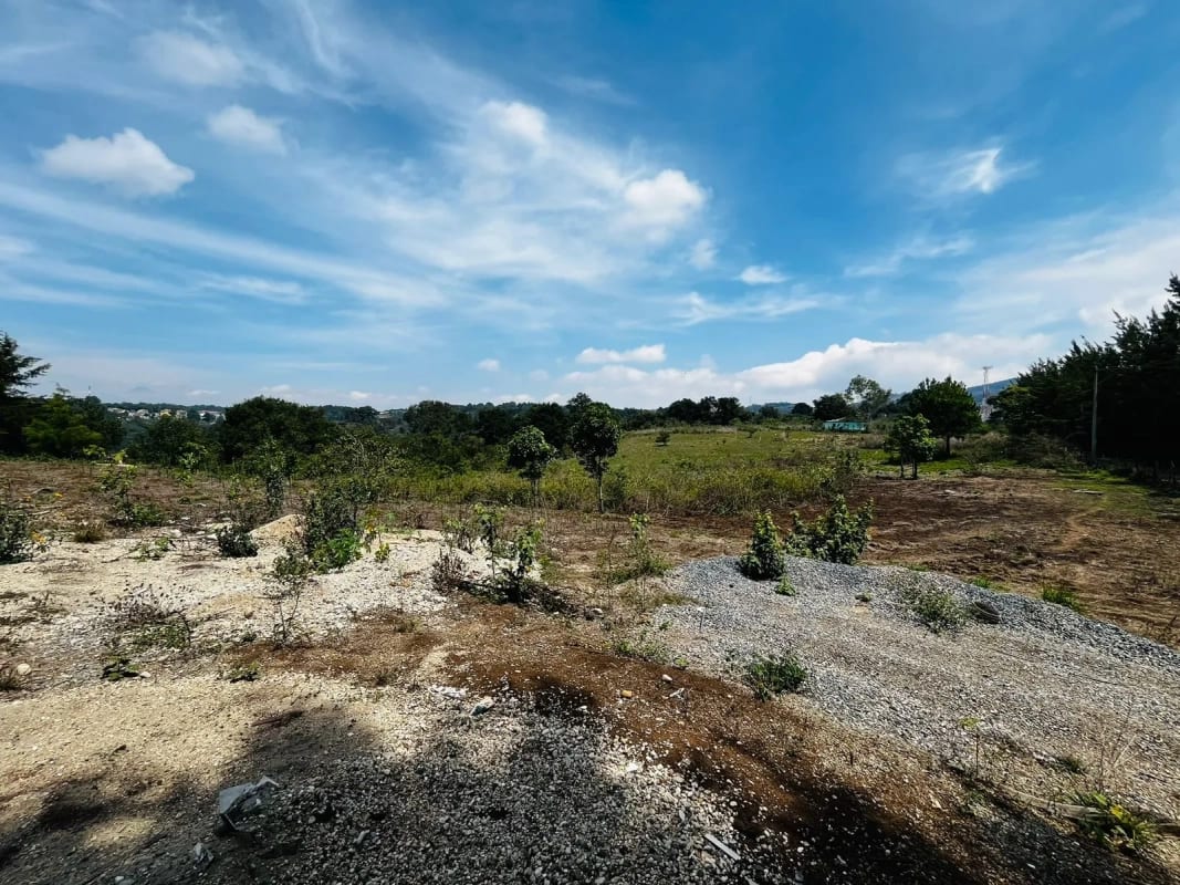 Alquilo Terreno en Lo de Diéguez 10,000 Varas Semi Planas — Terreno en Alquiler en Carretera a El Salvador, Guatemala, Ciudad — foto 5 de 5