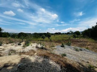 Alquilo Terreno en Lo de Diéguez 10,000 Varas Semi Planas — Terreno en Alquiler en Carretera a El Salvador, Guatemala, Ciudad — miniatura 5 de 5