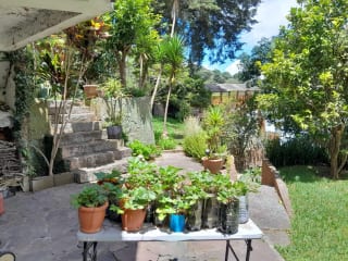 Casa en Venta San Jorge Muxbal Calle Liquidambar — Casa en Venta en Muxbal, Guatemala, Ciudad — miniatura 9 de 15