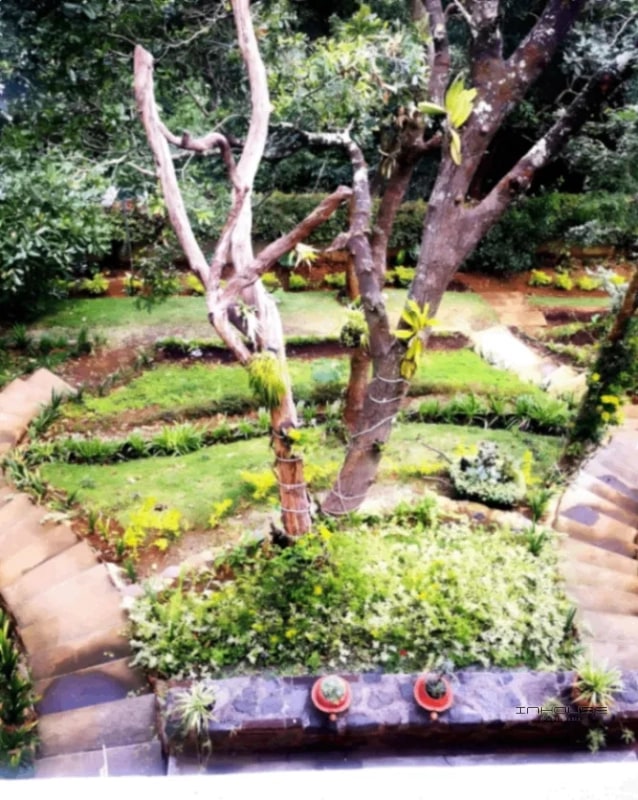 CASA EN VENTA EN CARRETERA A SAN LUCAS KM 21.5, ESTILO COLONIAL - 4