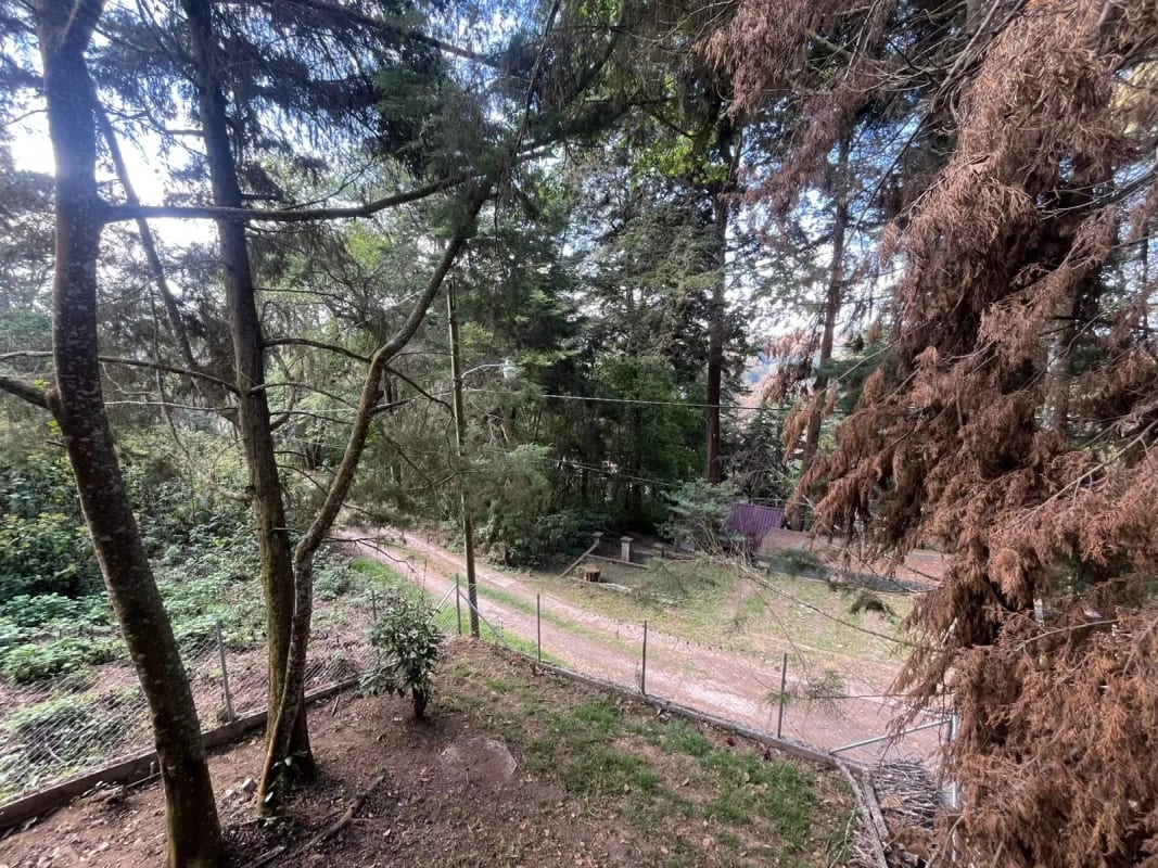 CABAÑA EN VENTA EL MANZANILLO MIXCO — Casa en Venta en Zona 1 Mixco, Guatemala, Ciudad — foto 3 de 13