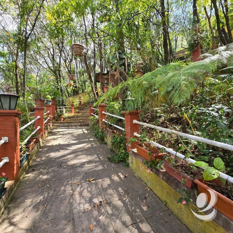 Casa Amueblada y 4 Bungalows (rentados) en Venta El Encinal Tronco 2 Zona 7 de Mixco - 6
